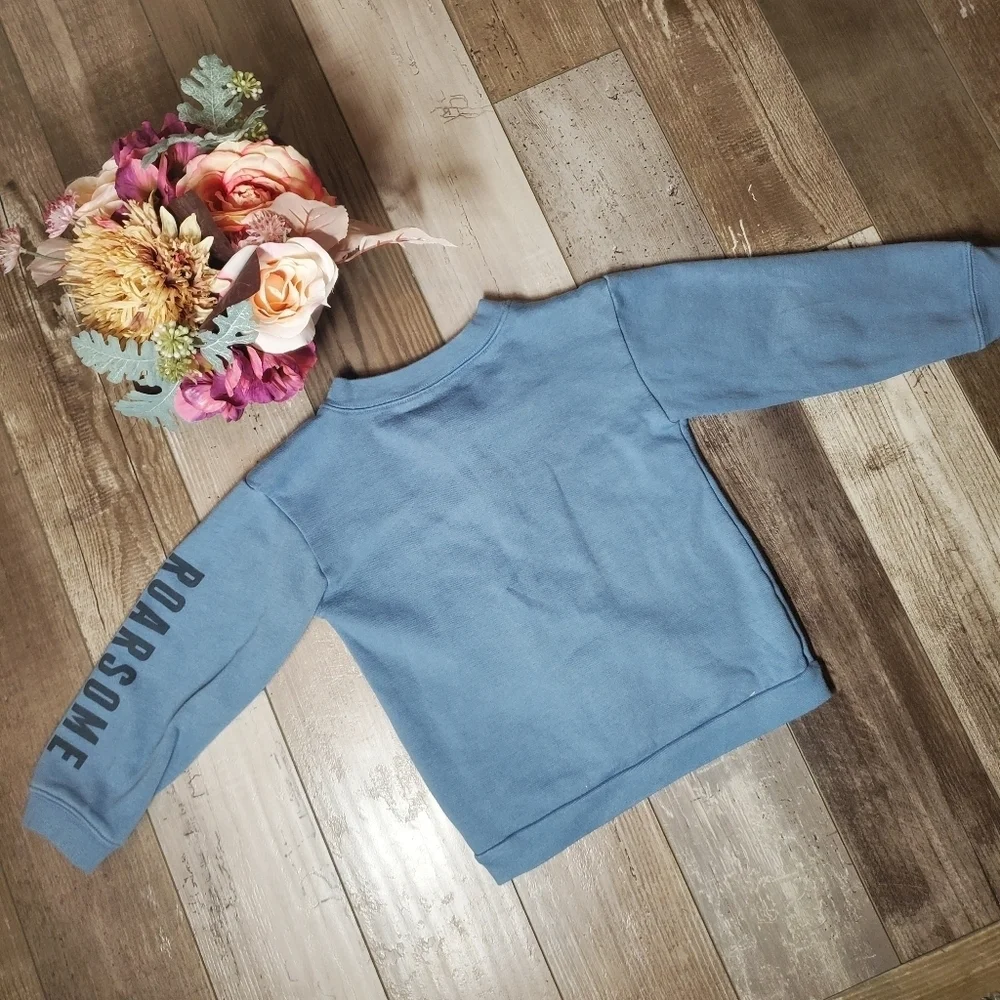 Carter's Boys Size 5T Blue Fleece Pullover Dinosaur Graphic Sweatshirt